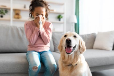 Show details for Dog Dander Allergy Test